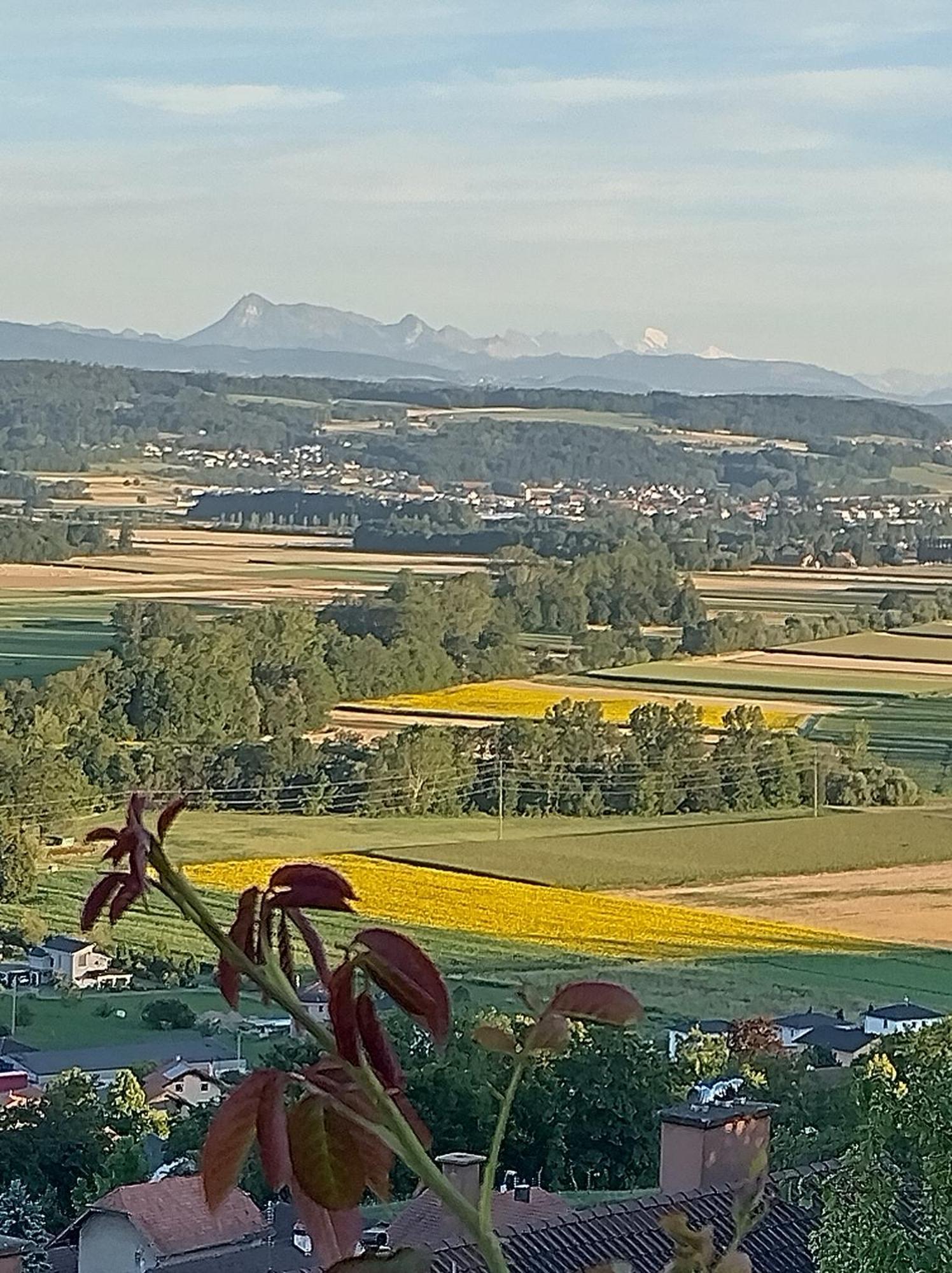 瑞士波尔佐伊住宿加早餐旅馆 Vully-les-Lacs 外观 照片
