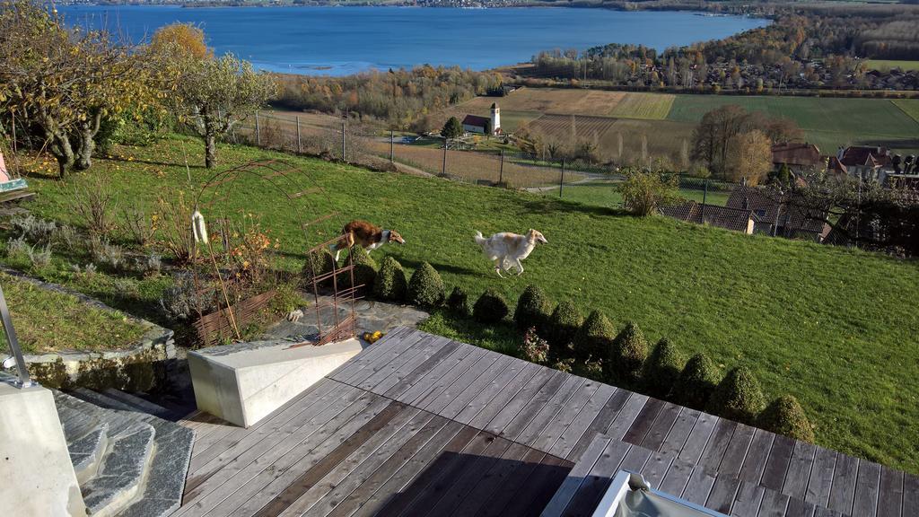 瑞士波尔佐伊住宿加早餐旅馆 Vully-les-Lacs 外观 照片