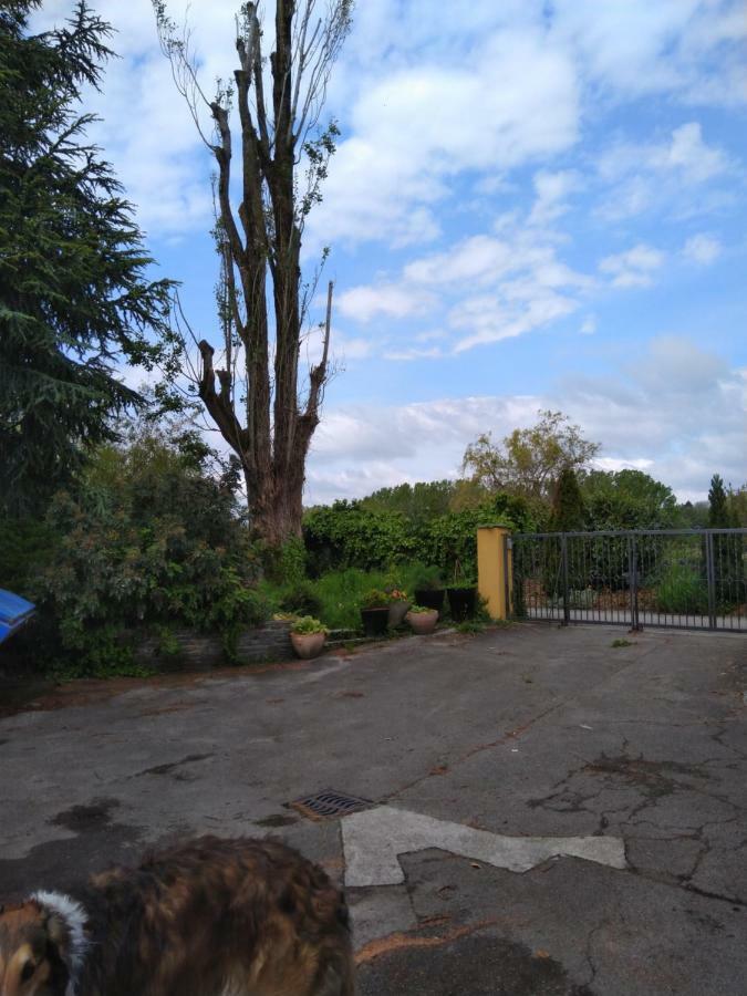 瑞士波尔佐伊住宿加早餐旅馆 Vully-les-Lacs 外观 照片